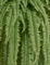 Папоротник Бостон Новый свисающий Мидл (искусственный) Treez Collection 32723 - фото 96728