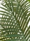 Пальма Арека Хризалидокарпус New 180 (искусственная) Treez Collection 38211 - фото 96732