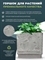 Горшок для растения Квадратный (GreenShip) с дренажным вкладышем 38974 - фото 98778