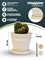 Горшок для растения Классический (GreenShip) с тарелкой 38978 - фото 98870