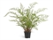 Папоротник Аспарагус куст нежно-зелёный в кашпо (искусственный) Treez Collection 39309 - фото 99801
