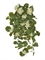 Герань ампельная кремовая (UV-фильтр) (искусственная) Treez Collection 39312 - фото 99804