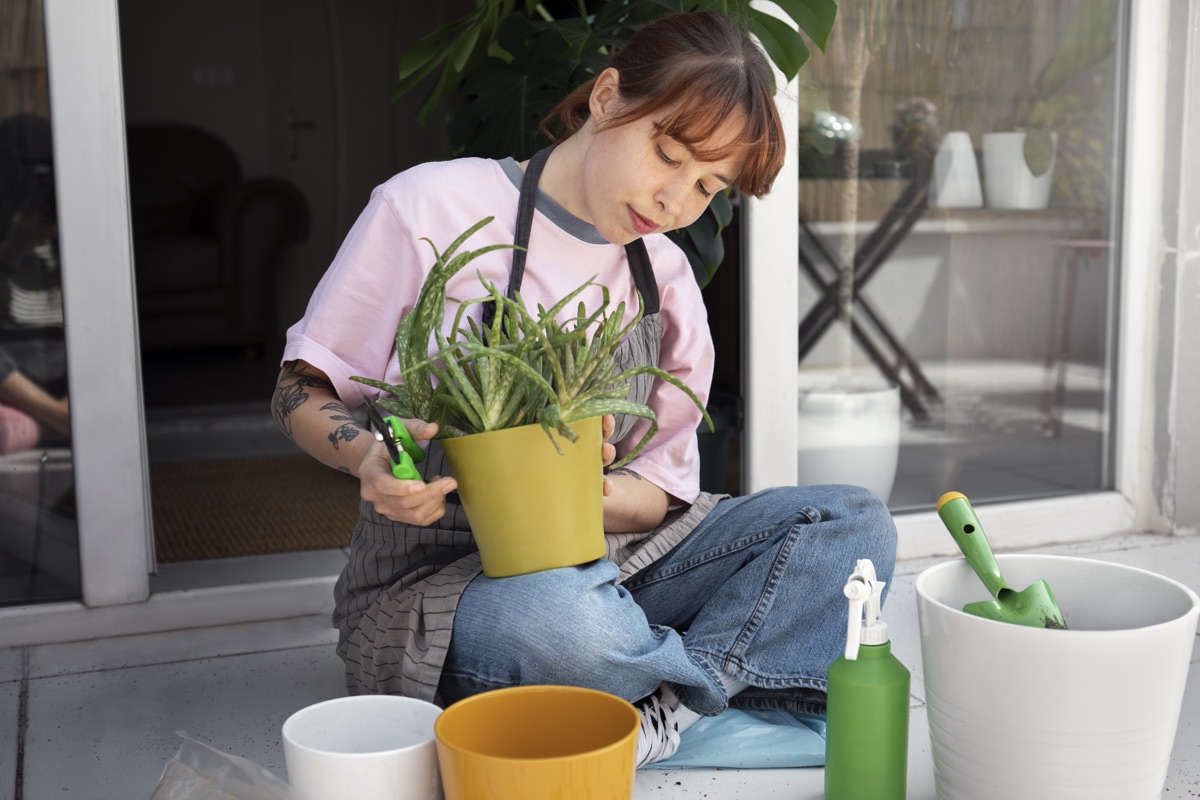 Подкормка и уход за комнатными растениями зимой